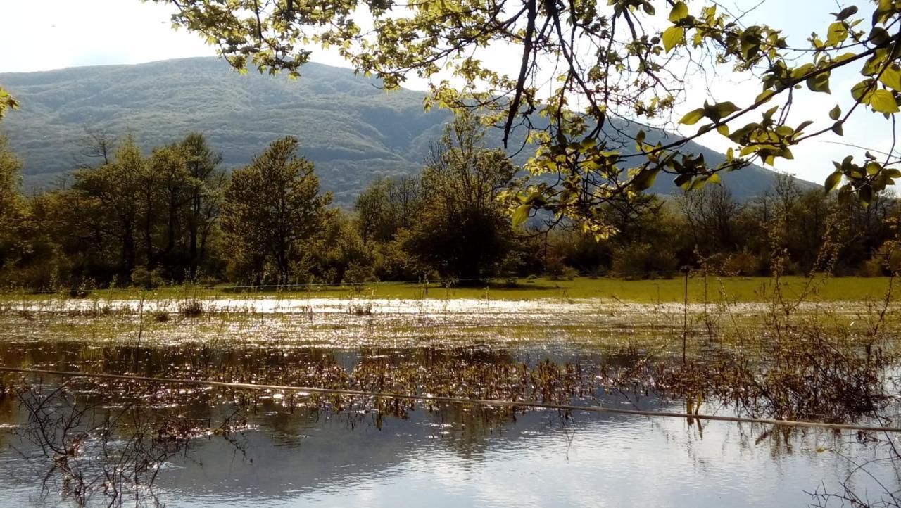 Stari Mlin Penzion 3*